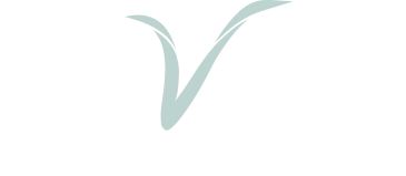 ellVida